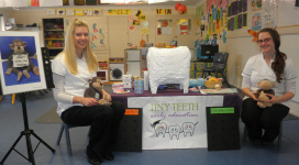 Tiny Teeth dental education teachers